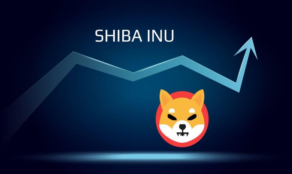 shiba inu price growth