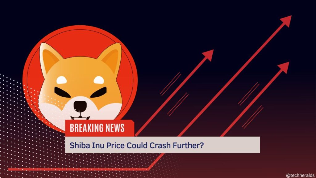 Shiba Inu Price Could Crash Further? shiba inu price could crash further