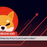 shiba inu price could crash further